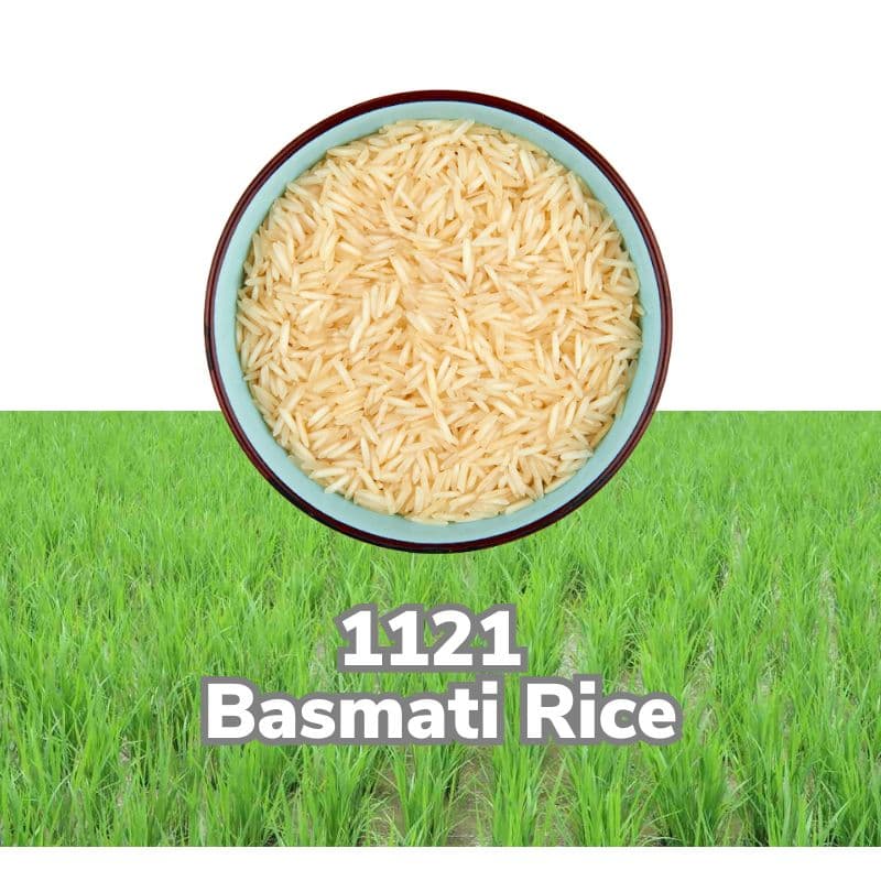 Basmati 1121