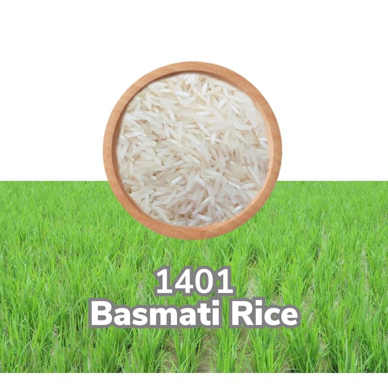 Basmati 1401