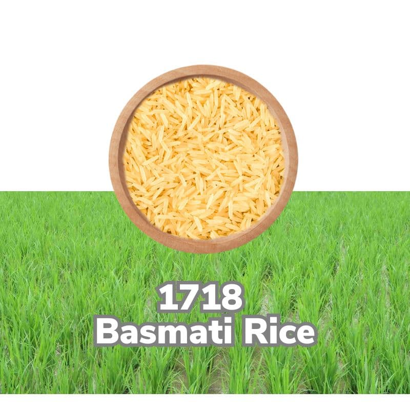 Basmati 1718
